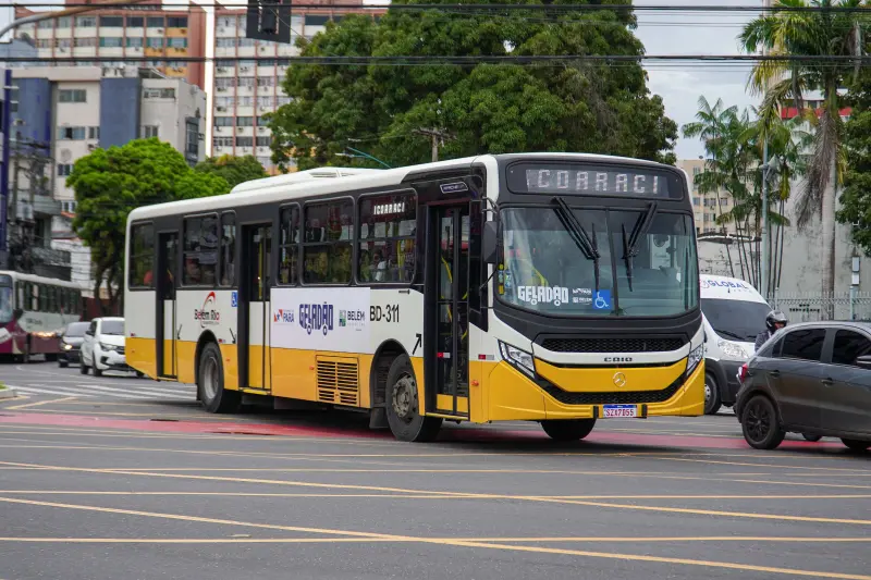  <div class='credito_fotos'>Foto: Alexandre Costa / Ag. Pará &nbsp;&nbsp;|&nbsp;&nbsp; <a href='/midias/2025/originais/20250425173709-GF00023560-F00397260.jpg' download><i class='fa-solid fa-download'></i> Download</a></div>