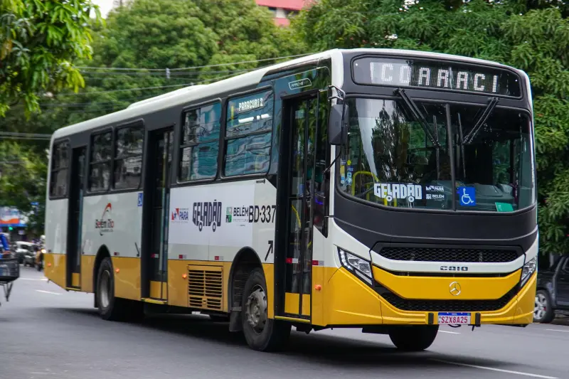  <div class='credito_fotos'>Foto: Alexandre Costa / Ag. Pará &nbsp;&nbsp;|&nbsp;&nbsp; <a href='/midias/2025/originais/20250425173714-GF00023560-F00397262.jpg' download><i class='fa-solid fa-download'></i> Download</a></div>