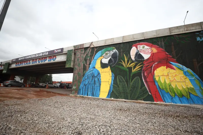  <div class='credito_fotos'>Foto: Rodrigo Pinheiro / Ag.Pará &nbsp;&nbsp;|&nbsp;&nbsp; <a href='/midias/2025/originais/20250429123947-GF00023576-F00397789.jpg' download><i class='fa-solid fa-download'></i> Download</a></div>