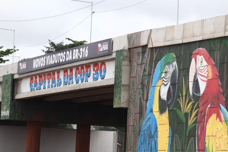  <div class='credito_fotos'>Foto: Rodrigo Pinheiro / Ag.Pará &nbsp;&nbsp;|&nbsp;&nbsp; <a href='/midias/2025/originais/20250429123951-GF00023576-F00397791.jpg' download><i class='fa-solid fa-download'></i> Download</a></div>