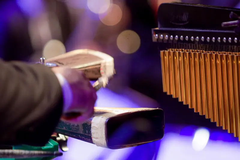  <div class='credito_fotos'>Foto: Pedro Guerreiro / Ag. Pará &nbsp;&nbsp;|&nbsp;&nbsp; <a href='/midias/2025/originais/20250430211722-GF00023593-F00398321.jpg' download><i class='fa-solid fa-download'></i> Download</a></div>