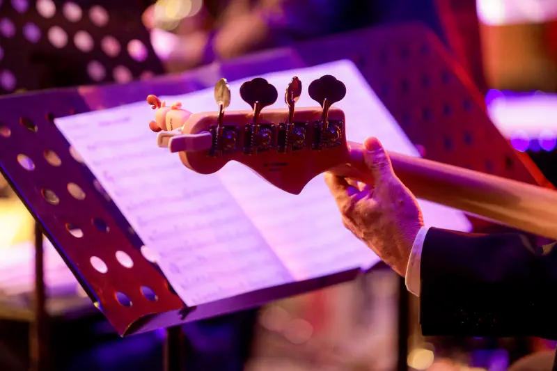  <div class='credito_fotos'>Foto: Pedro Guerreiro / Ag. Pará &nbsp;&nbsp;|&nbsp;&nbsp; <a href='/midias/2025/originais/20250430211815-GF00023593-F00398347.jpg' download><i class='fa-solid fa-download'></i> Download</a></div>