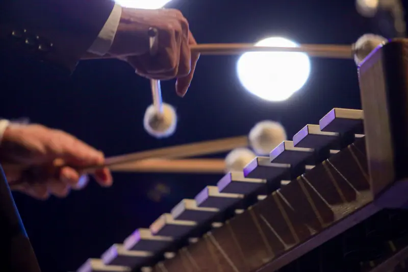  <div class='credito_fotos'>Foto: Pedro Guerreiro / Ag. Pará &nbsp;&nbsp;|&nbsp;&nbsp; <a href='/midias/2025/originais/20250430211837-GF00023593-F00398358.jpg' download><i class='fa-solid fa-download'></i> Download</a></div>