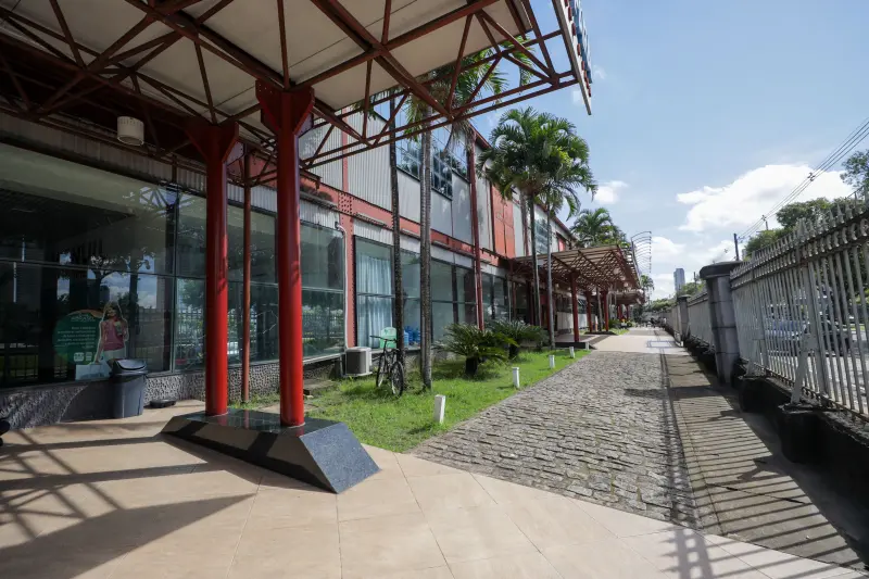  <div class='credito_fotos'>Foto: Pedro Guerreiro / Ag. Pará &nbsp;&nbsp;|&nbsp;&nbsp; <a href='/midias/2025/originais/20250507180137-GF00023640-F00400218.jpg' download><i class='fa-solid fa-download'></i> Download</a></div>