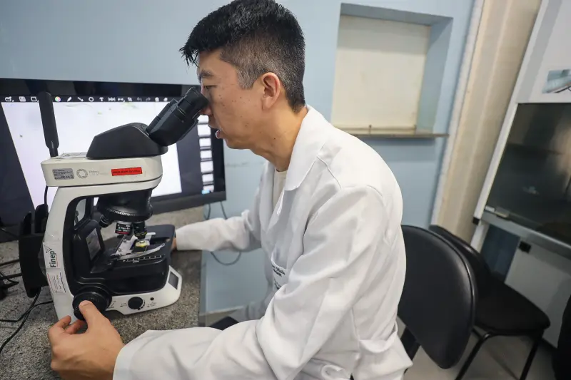  <div class='credito_fotos'>Foto: Bruno Cecim / Ag.Pará &nbsp;&nbsp;|&nbsp;&nbsp; <a href='/midias/2025/originais/20250513174041-GF00023690-F00403013.jpg' download><i class='fa-solid fa-download'></i> Download</a></div>