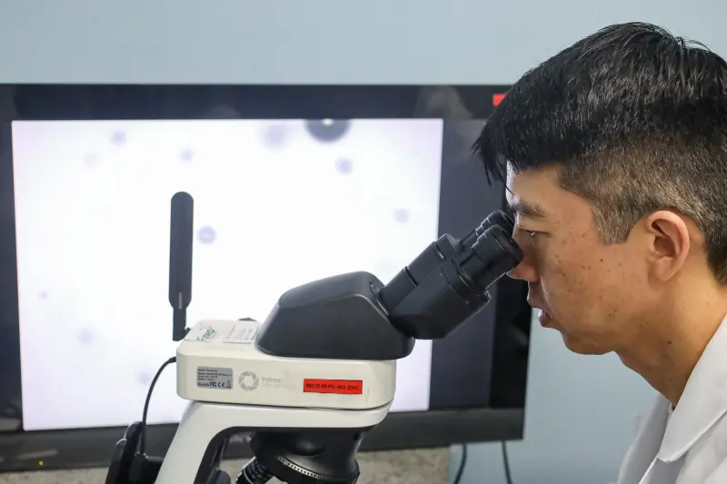  <div class='credito_fotos'>Foto: Bruno Cecim / Ag.Pará &nbsp;&nbsp;|&nbsp;&nbsp; <a href='/midias/2025/originais/20250513174043-GF00023690-F00403014.jpg' download><i class='fa-solid fa-download'></i> Download</a></div>