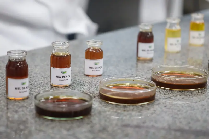  <div class='credito_fotos'>Foto: Bruno Cecim / Ag.Pará &nbsp;&nbsp;|&nbsp;&nbsp; <a href='/midias/2025/originais/20250513174046-GF00023690-F00403016.jpg' download><i class='fa-solid fa-download'></i> Download</a></div>