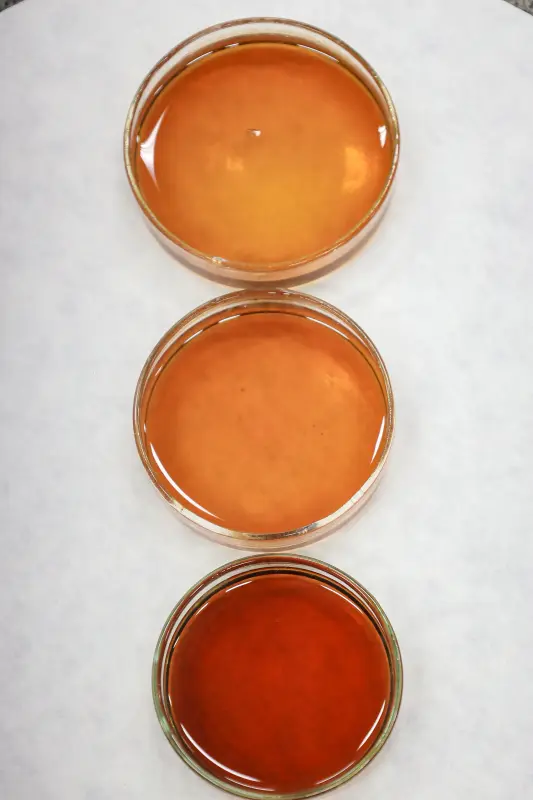  <div class='credito_fotos'>Foto: Bruno Cecim / Ag.Pará &nbsp;&nbsp;|&nbsp;&nbsp; <a href='/midias/2025/originais/20250513174048-GF00023690-F00403017.jpg' download><i class='fa-solid fa-download'></i> Download</a></div>