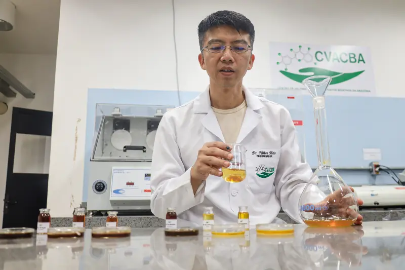  <div class='credito_fotos'>Foto: Bruno Cecim / Ag.Pará &nbsp;&nbsp;|&nbsp;&nbsp; <a href='/midias/2025/originais/20250513174053-GF00023690-F00403020.jpg' download><i class='fa-solid fa-download'></i> Download</a></div>