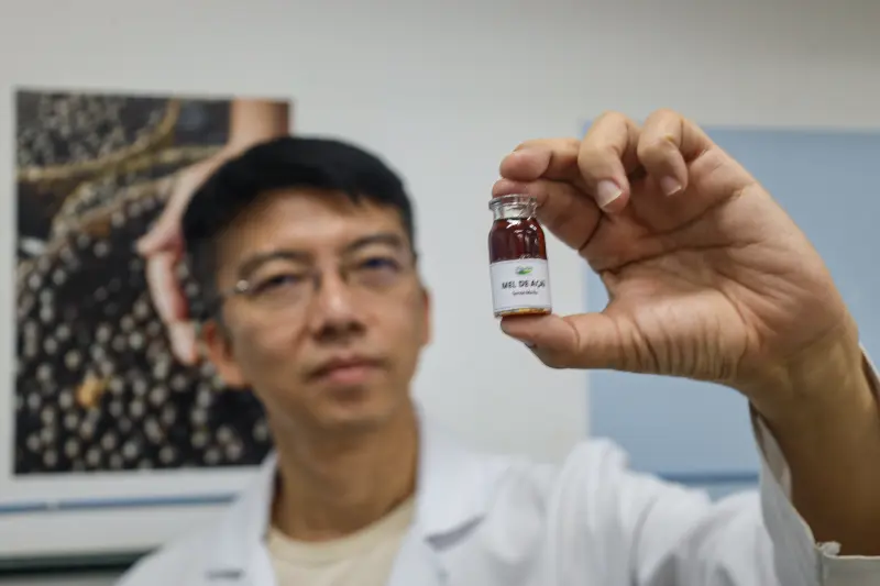  <div class='credito_fotos'>Foto: Bruno Cecim / Ag.Pará &nbsp;&nbsp;|&nbsp;&nbsp; <a href='/midias/2025/originais/20250513174101-GF00023690-F00403025.jpg' download><i class='fa-solid fa-download'></i> Download</a></div>