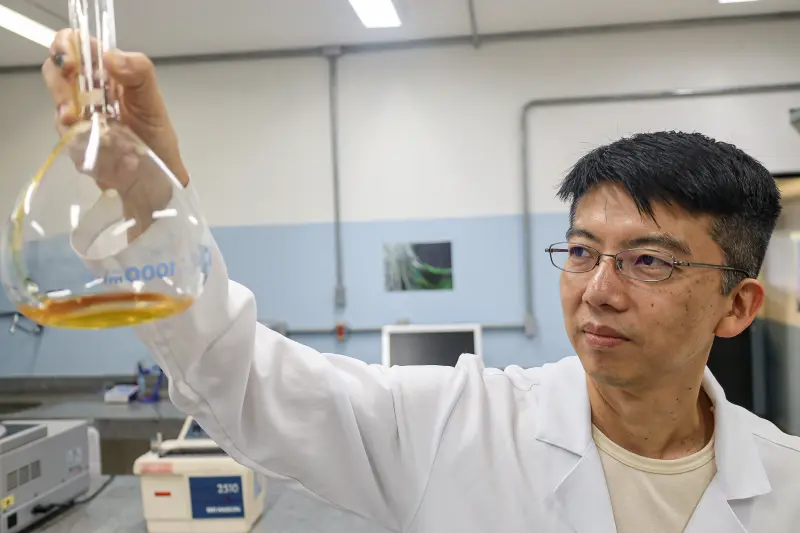  <div class='credito_fotos'>Foto: Bruno Cecim / Ag.Pará &nbsp;&nbsp;|&nbsp;&nbsp; <a href='/midias/2025/originais/20250513174105-GF00023690-F00403027.jpg' download><i class='fa-solid fa-download'></i> Download</a></div>