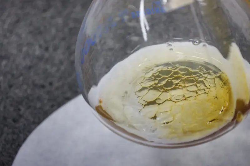  <div class='credito_fotos'>Foto: Bruno Cecim / Ag.Pará &nbsp;&nbsp;|&nbsp;&nbsp; <a href='/midias/2025/originais/20250513174109-GF00023690-F00403029.jpg' download><i class='fa-solid fa-download'></i> Download</a></div>