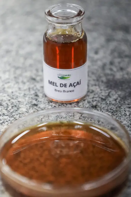  <div class='credito_fotos'>Foto: Bruno Cecim / Ag.Pará &nbsp;&nbsp;|&nbsp;&nbsp; <a href='/midias/2025/originais/20250513174110-GF00023690-F00403030.jpg' download><i class='fa-solid fa-download'></i> Download</a></div>