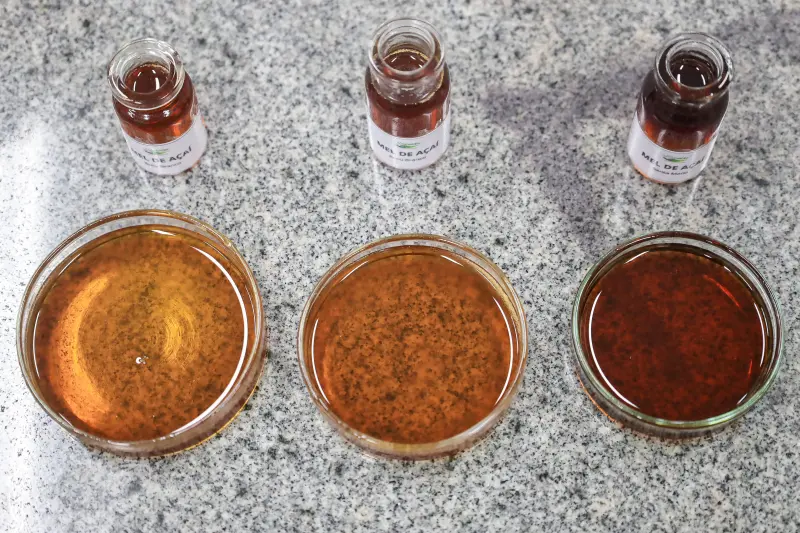  <div class='credito_fotos'>Foto: Bruno Cecim / Ag.Pará &nbsp;&nbsp;|&nbsp;&nbsp; <a href='/midias/2025/originais/20250513174112-GF00023690-F00403031.jpg' download><i class='fa-solid fa-download'></i> Download</a></div>