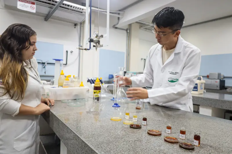  <div class='credito_fotos'>Foto: Bruno Cecim / Ag.Pará &nbsp;&nbsp;|&nbsp;&nbsp; <a href='/midias/2025/originais/20250513174114-GF00023690-F00403032.jpg' download><i class='fa-solid fa-download'></i> Download</a></div>