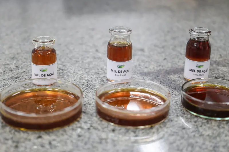  <div class='credito_fotos'>Foto: Bruno Cecim / Ag.Pará &nbsp;&nbsp;|&nbsp;&nbsp; <a href='/midias/2025/originais/20250513174116-GF00023690-F00403033.jpg' download><i class='fa-solid fa-download'></i> Download</a></div>