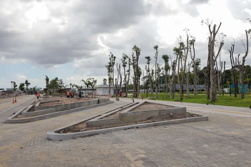  <div class='credito_fotos'>Foto: Pedro Guerreiro / Ag. Pará &nbsp;&nbsp;|&nbsp;&nbsp; <a href='/midias/2025/originais/20250514143003-GF00023701-F00403482.jpg' download><i class='fa-solid fa-download'></i> Download</a></div>