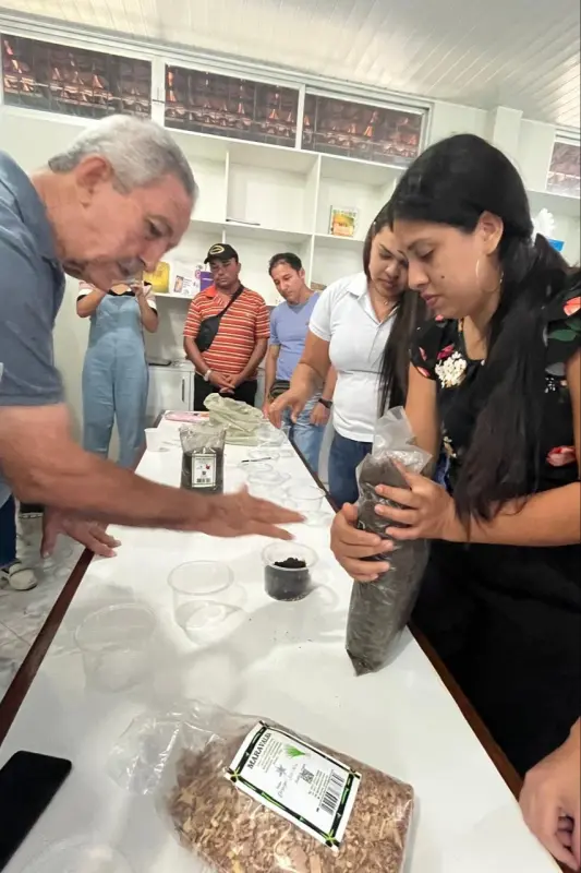 Curso de compostagem 