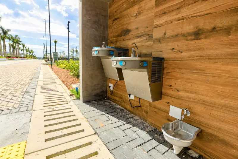  <div class='credito_fotos'>Foto: Bruno Cecim / Ag.Pará &nbsp;&nbsp;|&nbsp;&nbsp; <a href='/midias/2025/originais/20250529164028-GF00023819-F00407555.jpg' download><i class='fa-solid fa-download'></i> Download</a></div>