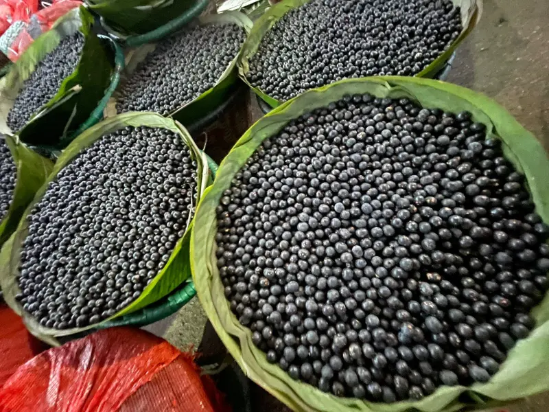 Açaí como este,  que entra e sai no Porto que leva o seu nome, no bairro do Jurunas, será a estrela do festival que será realizado nos próximos dois dias.