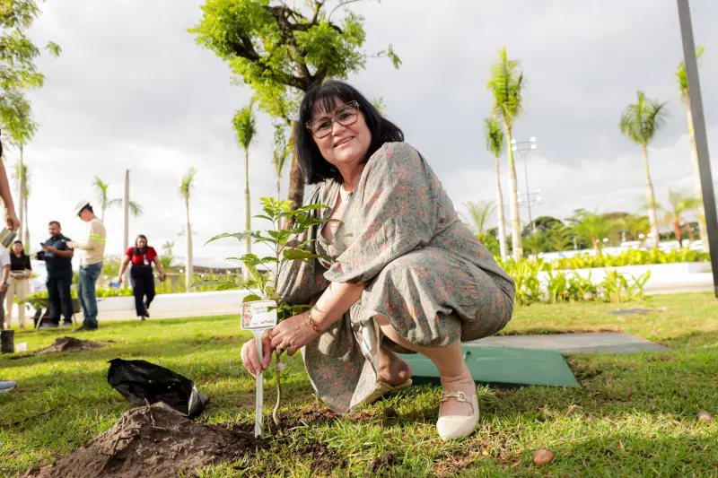  <div class='credito_fotos'>Foto: Pedro Guerreiro / Ag. Pará &nbsp;&nbsp;|&nbsp;&nbsp; <a href='/midias/2025/originais/20250612201259-GF00023934-F00412692.jpg' download><i class='fa-solid fa-download'></i> Download</a></div>