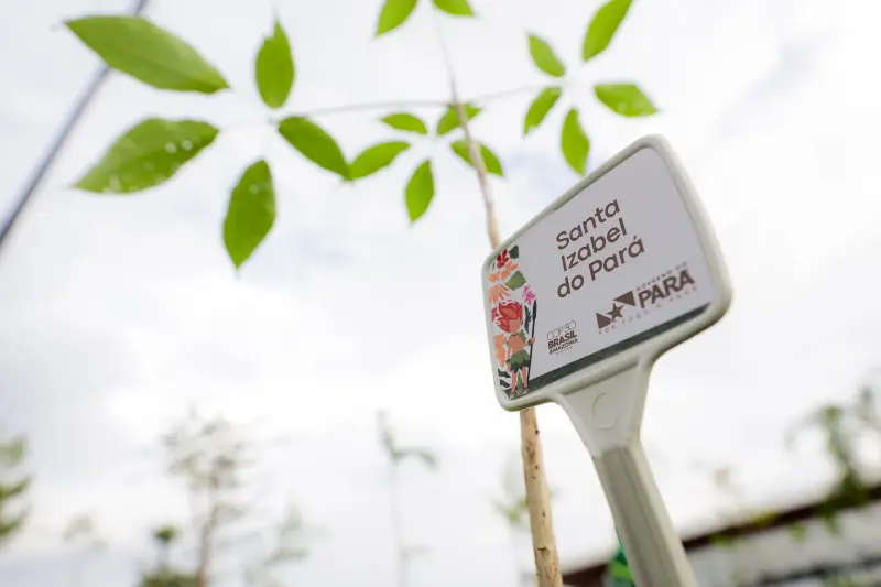  <div class='credito_fotos'>Foto: Pedro Guerreiro / Ag. Pará &nbsp;&nbsp;|&nbsp;&nbsp; <a href='/midias/2025/originais/20250612201309-GF00023934-F00412697.jpg' download><i class='fa-solid fa-download'></i> Download</a></div>