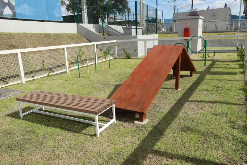  <div class='credito_fotos'>Foto: Alex Ribeiro / Ag. Pará &nbsp;&nbsp;|&nbsp;&nbsp; <a href='/midias/2025/originais/20250614154152-GF00023966-F00414127.jpg' download><i class='fa-solid fa-download'></i> Download</a></div>