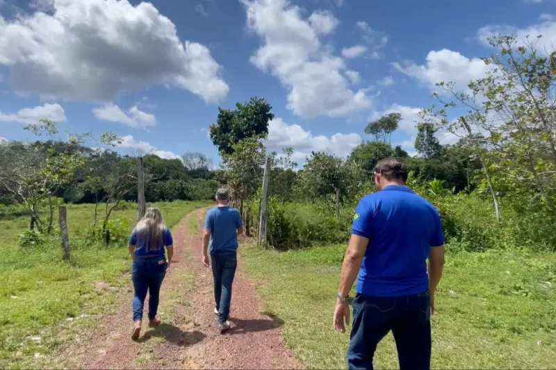 Técnicos da Sedap visitam fazenda em Abaetetuba Pará acompanhar o trabalho de melhoramento genético