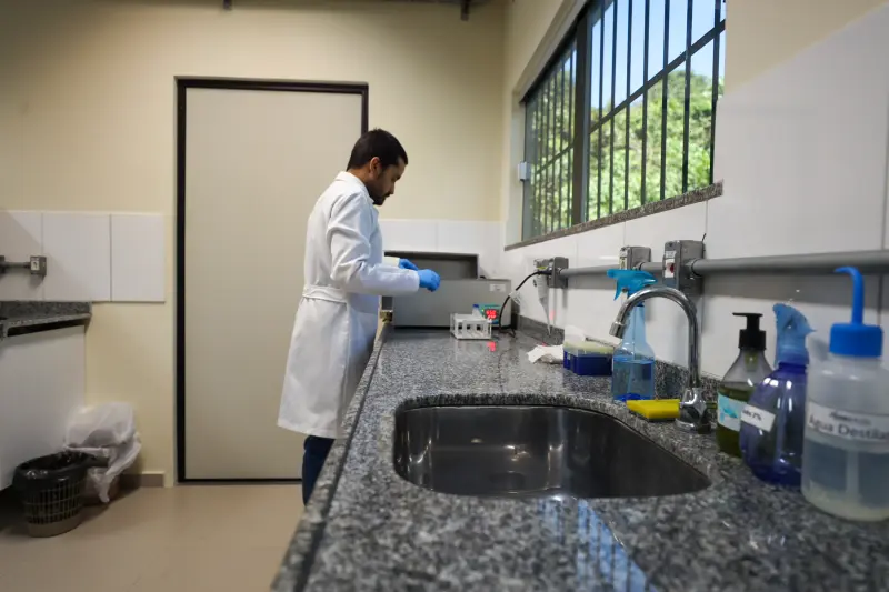  <div class='credito_fotos'>Foto: Bruno Cruz / Ag. Pará &nbsp;&nbsp;|&nbsp;&nbsp; <a href='/midias/2025/originais/20250617132903-GF00024000-F00415736.jpg' download><i class='fa-solid fa-download'></i> Download</a></div>