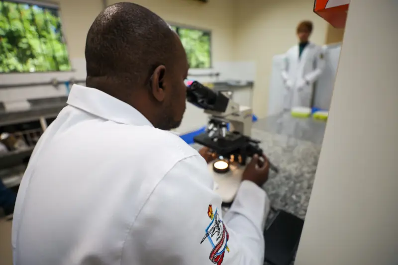  <div class='credito_fotos'>Foto: Bruno Cruz / Ag. Pará &nbsp;&nbsp;|&nbsp;&nbsp; <a href='/midias/2025/originais/20250617132907-GF00024000-F00415739.jpg' download><i class='fa-solid fa-download'></i> Download</a></div>