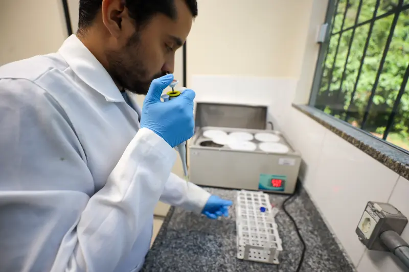  <div class='credito_fotos'>Foto: Bruno Cruz / Ag. Pará &nbsp;&nbsp;|&nbsp;&nbsp; <a href='/midias/2025/originais/20250617132911-GF00024000-F00415742.jpg' download><i class='fa-solid fa-download'></i> Download</a></div>