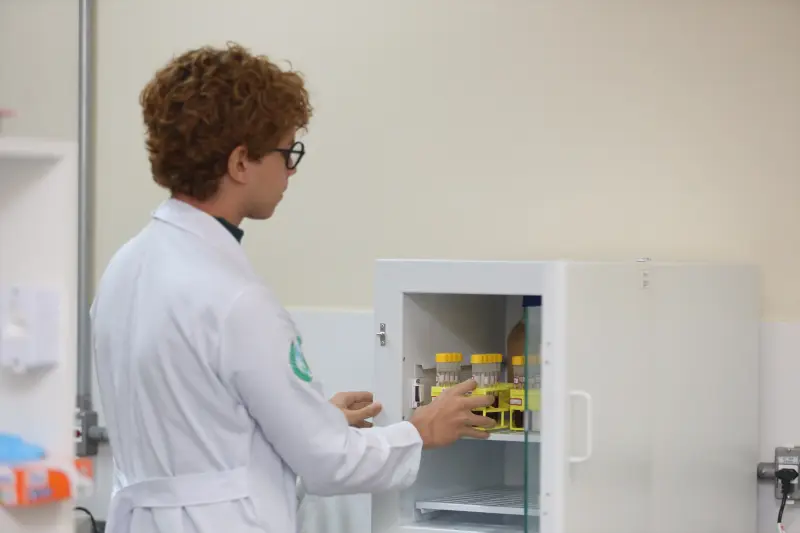  <div class='credito_fotos'>Foto: Bruno Cruz / Ag. Pará &nbsp;&nbsp;|&nbsp;&nbsp; <a href='/midias/2025/originais/20250617132916-GF00024000-F00415746.jpg' download><i class='fa-solid fa-download'></i> Download</a></div>