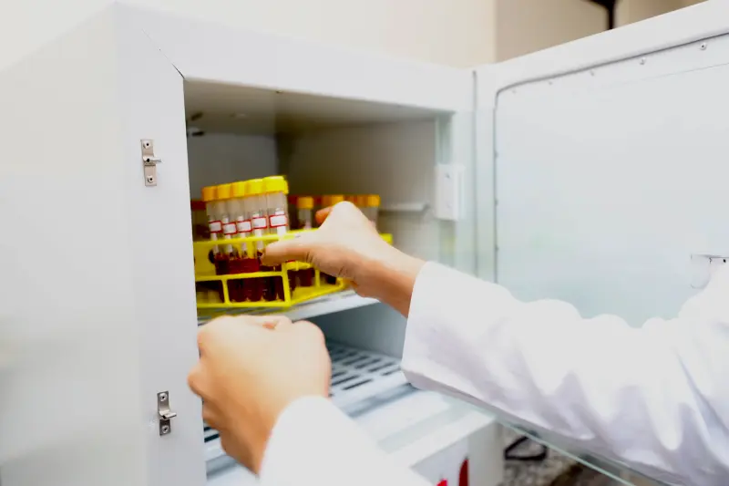  <div class='credito_fotos'>Foto: Bruno Cruz / Ag. Pará &nbsp;&nbsp;|&nbsp;&nbsp; <a href='/midias/2025/originais/20250617132925-GF00024000-F00415754.jpg' download><i class='fa-solid fa-download'></i> Download</a></div>