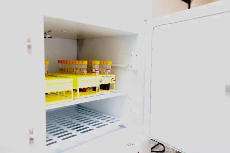  <div class='credito_fotos'>Foto: Bruno Cruz / Ag. Pará &nbsp;&nbsp;|&nbsp;&nbsp; <a href='/midias/2025/originais/20250617132927-GF00024000-F00415755.jpg' download><i class='fa-solid fa-download'></i> Download</a></div>