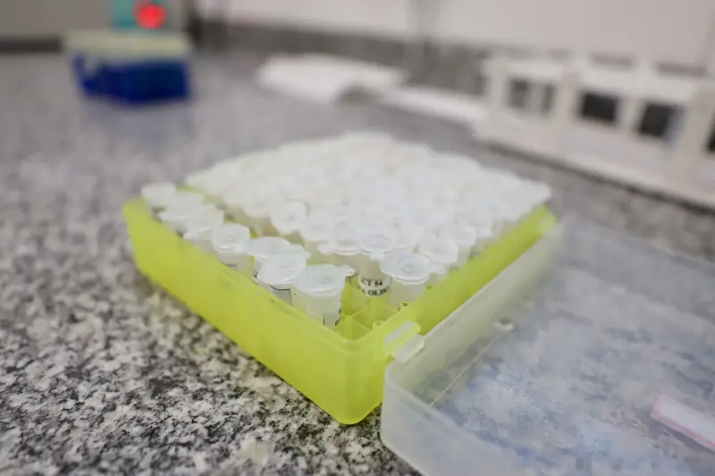  <div class='credito_fotos'>Foto: Bruno Cruz / Ag. Pará &nbsp;&nbsp;|&nbsp;&nbsp; <a href='/midias/2025/originais/20250617132929-GF00024000-F00415757.jpg' download><i class='fa-solid fa-download'></i> Download</a></div>