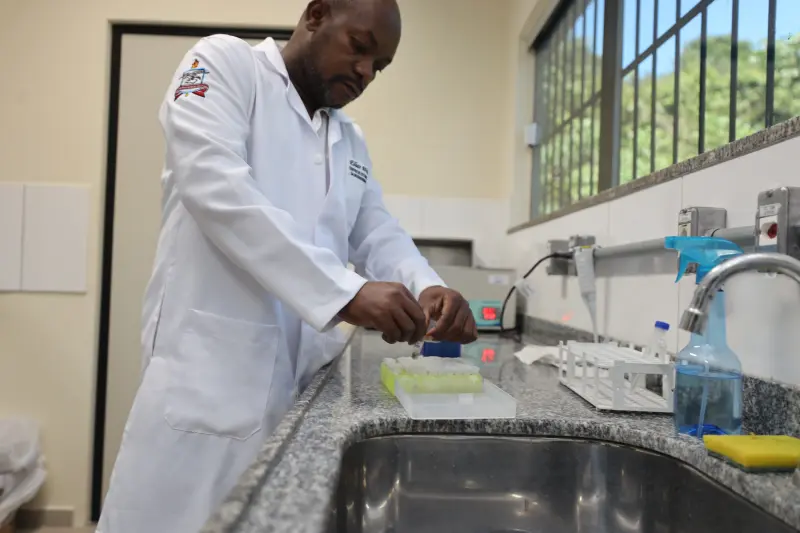  <div class='credito_fotos'>Foto: Bruno Cruz / Ag. Pará &nbsp;&nbsp;|&nbsp;&nbsp; <a href='/midias/2025/originais/20250617132931-GF00024000-F00415759.jpg' download><i class='fa-solid fa-download'></i> Download</a></div>