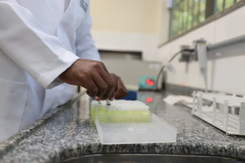  <div class='credito_fotos'>Foto: Bruno Cruz / Ag. Pará &nbsp;&nbsp;|&nbsp;&nbsp; <a href='/midias/2025/originais/20250617132933-GF00024000-F00415760.jpg' download><i class='fa-solid fa-download'></i> Download</a></div>