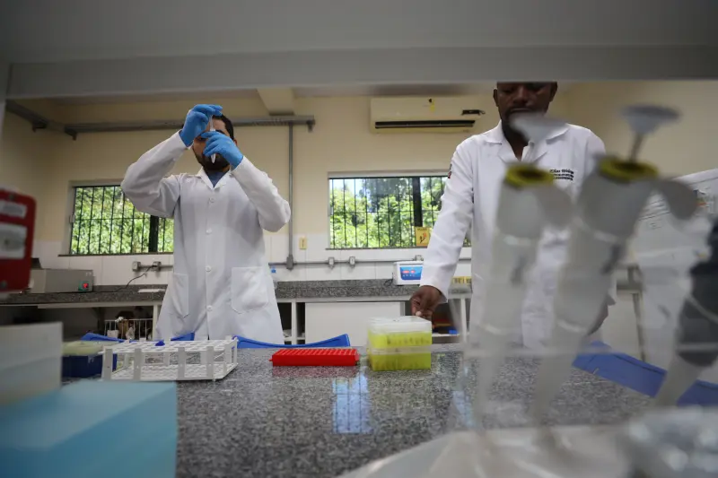  <div class='credito_fotos'>Foto: Bruno Cruz / Ag. Pará &nbsp;&nbsp;|&nbsp;&nbsp; <a href='/midias/2025/originais/20250617132943-GF00024000-F00415768.jpg' download><i class='fa-solid fa-download'></i> Download</a></div>