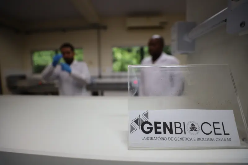  <div class='credito_fotos'>Foto: Bruno Cruz / Ag. Pará &nbsp;&nbsp;|&nbsp;&nbsp; <a href='/midias/2025/originais/20250617132944-GF00024000-F00415769.jpg' download><i class='fa-solid fa-download'></i> Download</a></div>