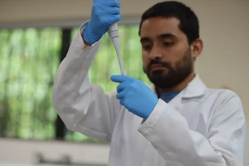  <div class='credito_fotos'>Foto: Bruno Cruz / Ag. Pará &nbsp;&nbsp;|&nbsp;&nbsp; <a href='/midias/2025/originais/20250617132948-GF00024000-F00415772.jpg' download><i class='fa-solid fa-download'></i> Download</a></div>