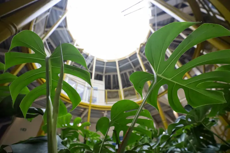  <div class='credito_fotos'>Foto: Pedro Guerreiro / Ag. Pará &nbsp;&nbsp;|&nbsp;&nbsp; <a href='/midias/2025/originais/20250624141743-GF00024035-F00416863.jpg' download><i class='fa-solid fa-download'></i> Download</a></div>