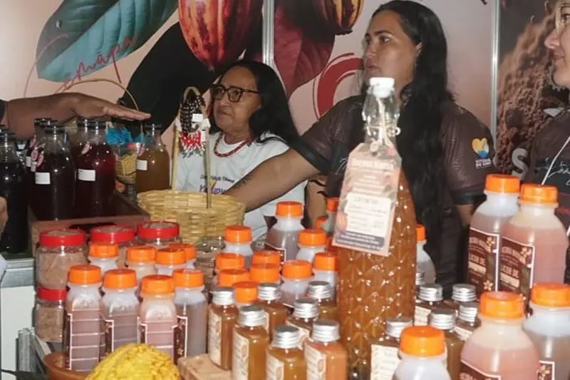 Bebidas derivadas de cacau como licor ou até mesmo cerveja artesanal produzidas no Pará participam do concurso