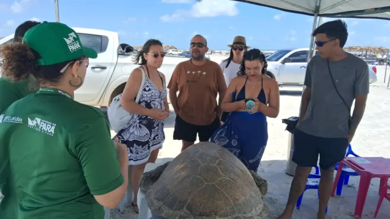 Ação Praia do Atalaia - Salinópolis/PA