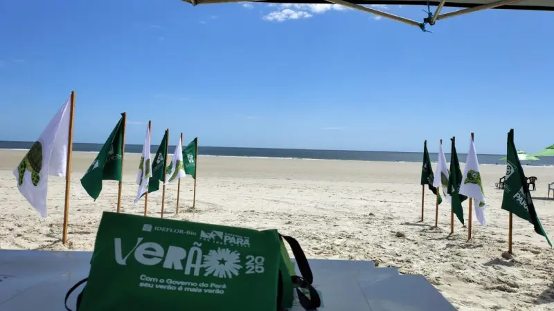 Ação APA Algodoal-Maiandeua