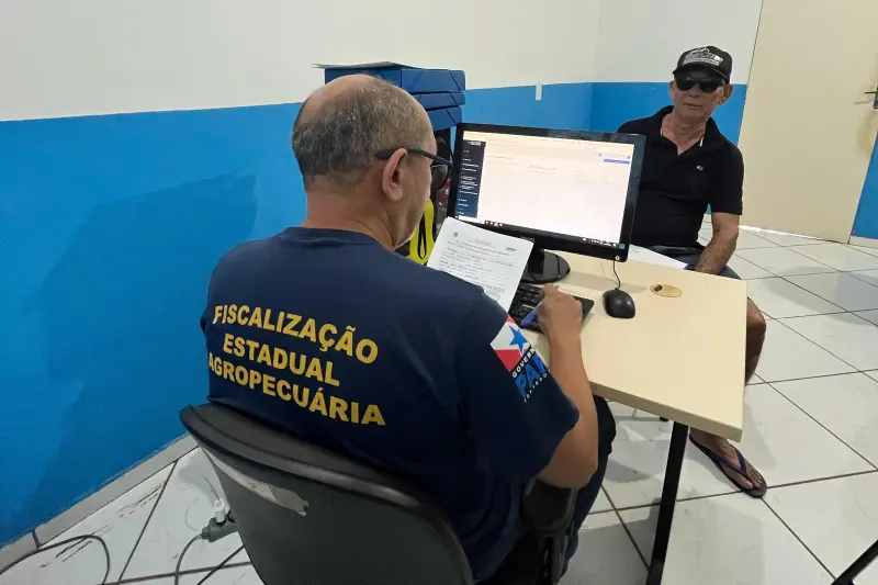 Adepará realiza última convocação para produtores atualizarem seu rebanho 
