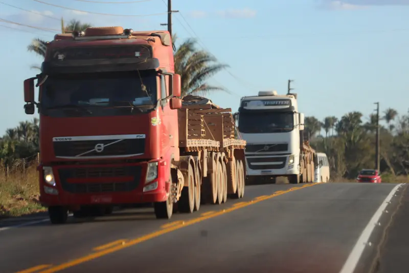  <div class='credito_fotos'>Foto: Bruno Cruz / Ag. Pará &nbsp;&nbsp;|&nbsp;&nbsp; <a href='/midias/2025/originais/20250716184130-GF00024222-F00423403.jpg' download><i class='fa-solid fa-download'></i> Download</a></div>