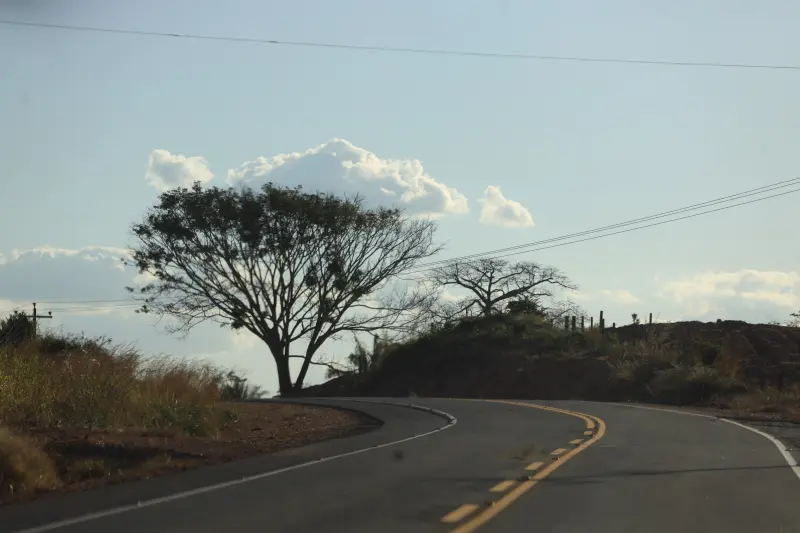  <div class='credito_fotos'>Foto: Bruno Cruz / Ag. Pará &nbsp;&nbsp;|&nbsp;&nbsp; <a href='/midias/2025/originais/20250716184140-GF00024222-F00423411.jpg' download><i class='fa-solid fa-download'></i> Download</a></div>