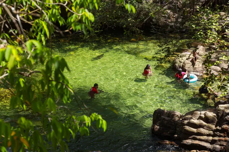  <div class='credito_fotos'>Foto: Alex Ribeiro / Ag. Pará &nbsp;&nbsp;|&nbsp;&nbsp; <a href='/midias/2025/originais/20250717145305-GF00024230-F00423666.jpg' download><i class='fa-solid fa-download'></i> Download</a></div>