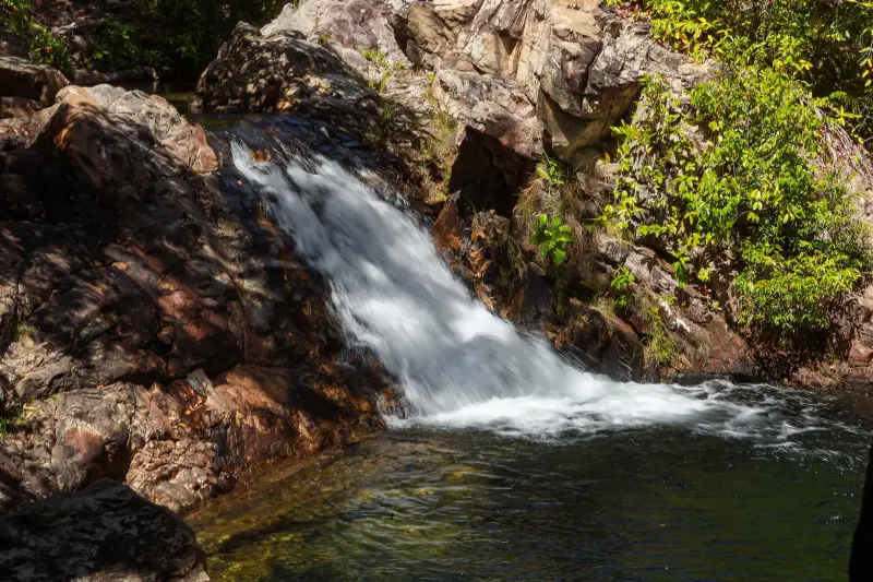  <div class='credito_fotos'>Foto: Alex Ribeiro / Ag. Pará &nbsp;&nbsp;|&nbsp;&nbsp; <a href='/midias/2025/originais/20250717145307-GF00024230-F00423667.jpg' download><i class='fa-solid fa-download'></i> Download</a></div>