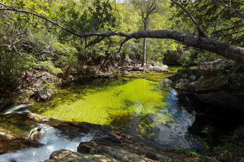  <div class='credito_fotos'>Foto: Alex Ribeiro / Ag. Pará &nbsp;&nbsp;|&nbsp;&nbsp; <a href='/midias/2025/originais/20250717145309-GF00024230-F00423668.jpg' download><i class='fa-solid fa-download'></i> Download</a></div>